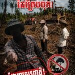 ពិតជាថ្លើមធំរបស់គេលួចឈួសឆាយដីគម្របព្រៃដែរដីរដ្ឋយកធ្វើជាកម្មសិទ្ធិហើយដាក់ដាំចន្ទីធ្វើជាចំកា ដើម្បីទុកលក់បន្តអោយអ្នកផ្សេង ក្នុងតម្លៃចាប់ពី 1500ដុល្លាទៅ2000ដុល្លា ក្នុង១ហិតា 